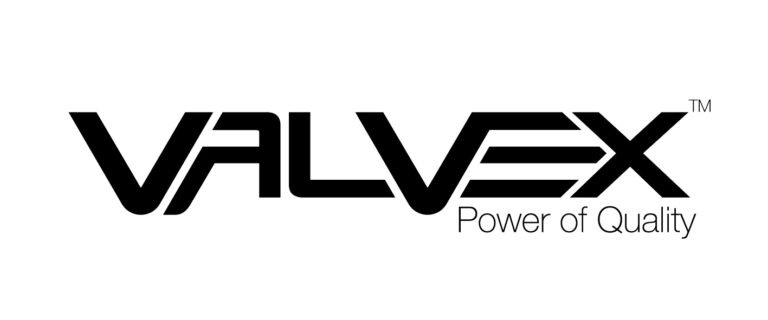 logo-valvex-01